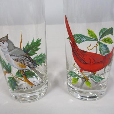 Collection Of Bird Glasses