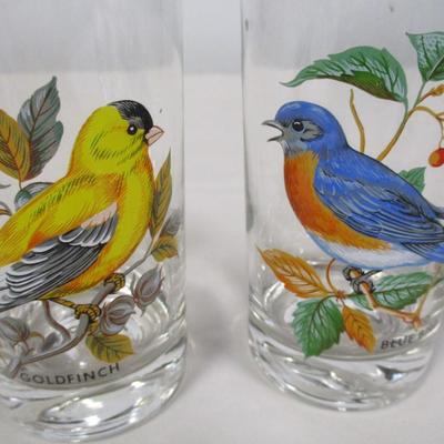 Collection Of Bird Glasses