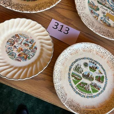 Lot of State Plates, larger