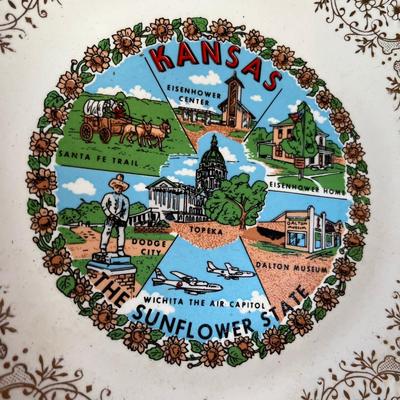Lot of State Plates, larger