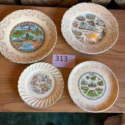 Lot of State Plates, larger