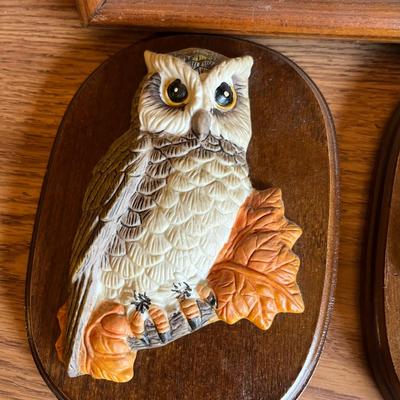Owl Collection