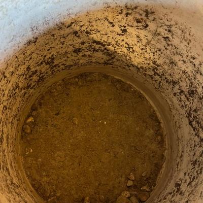 Western 5 Gallon Crock w/ Lid