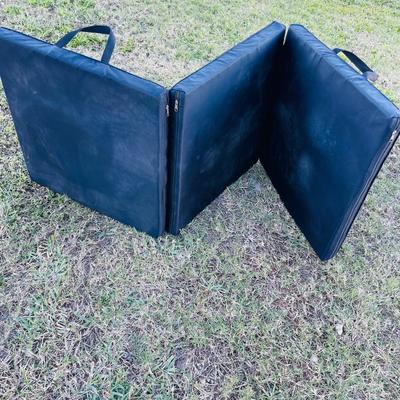 Therms Rest and Alps Mountaineering Camping Matâ€™s (BR2-NM)