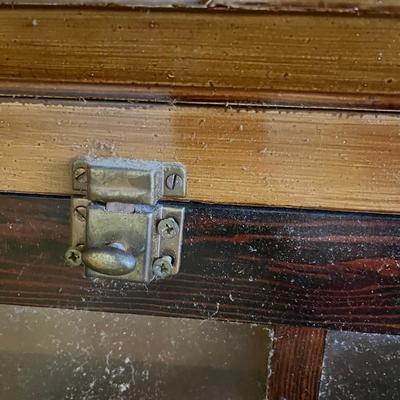Vintage Glass front Book Case