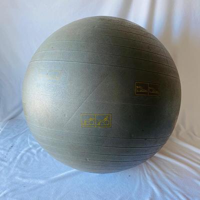 Exercise Ball and Portable Mini Exercise Bikes (BR2-SL)