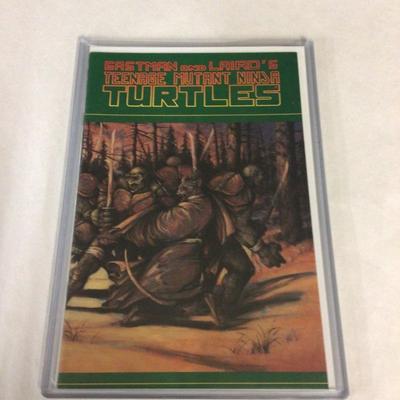 Teenage mutant ninja turtles #31