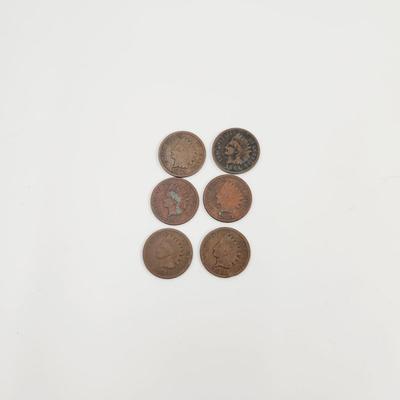 6 - 1891 INDIAN HEAD PENNIES