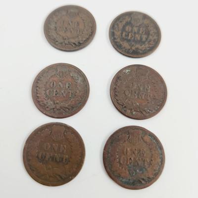 6 - 1891 INDIAN HEAD PENNIES