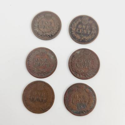 6 - 1891 INDIAN HEAD PENNIES
