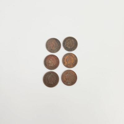 6 - 1891 INDIAN HEAD PENNIES