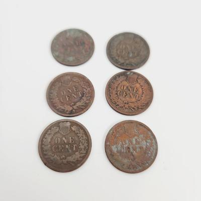 6 - 1891 INDIAN HEAD PENNIES