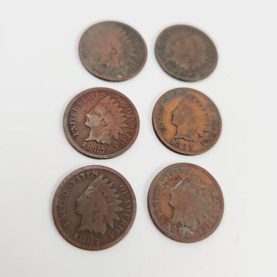 6 - 1891 INDIAN HEAD PENNIES