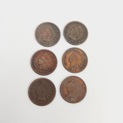 6 - 1891 INDIAN HEAD PENNIES