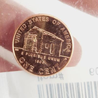 UNCIRCULATED PENNY COINS 2010 & 2000
