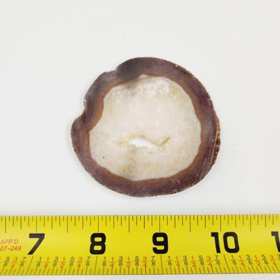 BEAUTIFUL SLICED GEODE