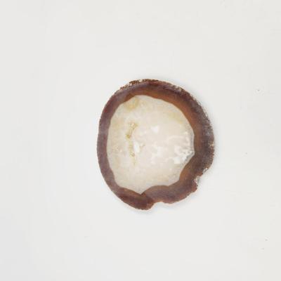 BEAUTIFUL SLICED GEODE