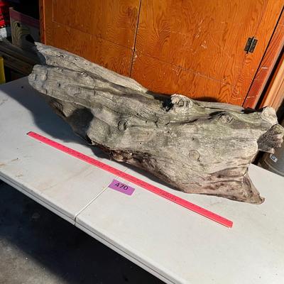 Large piece of drift wood!