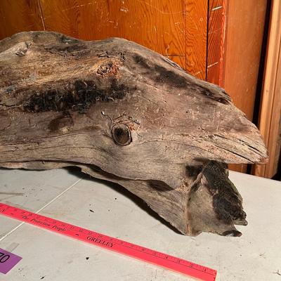 Large piece of drift wood!
