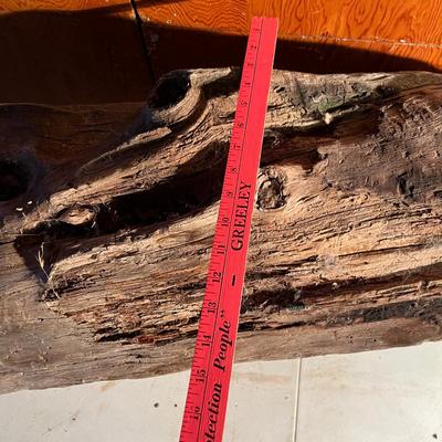 Large piece of drift wood!