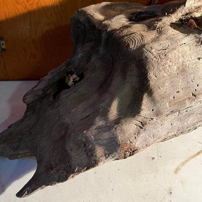 Large piece of drift wood!