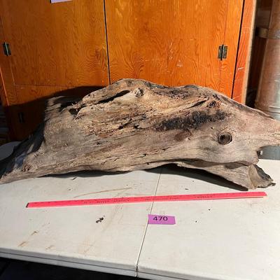 Large piece of drift wood!
