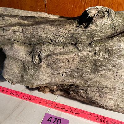 Large piece of drift wood!