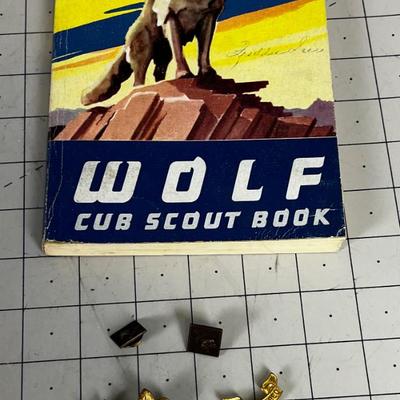 Cub Scout Handbook and a Bunch of Pins. 