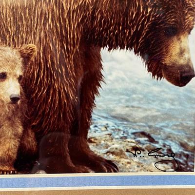 W. PERRY CONWAY FRAMED NATURE PHOTO BROWN BEAR WITH CUBS ALASKA grizzlies
