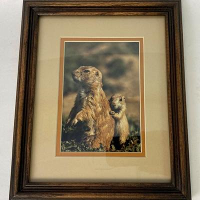 W. PERRY CONWAY FRAMED NATURE PHOTO PRAIRIE DOGS