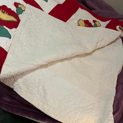 Antique Applique Quilt