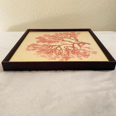 Set of Three Red Coral Framed Prints (GR-SL)