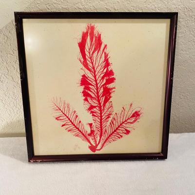 Set of Three Red Coral Framed Prints (GR-SL)