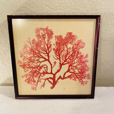 Set of Three Red Coral Framed Prints (GR-SL)