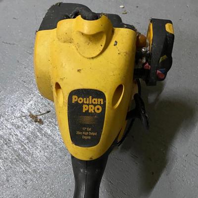 Poland Pro 17â€ gas powered weed eater