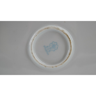 Antique and Vintage Porcelain Plates and Teacup
