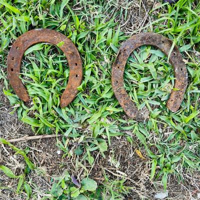Champs and Royal Horse Shoes (G-NM)