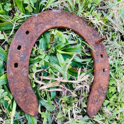Champs and Royal Horse Shoes (G-NM)