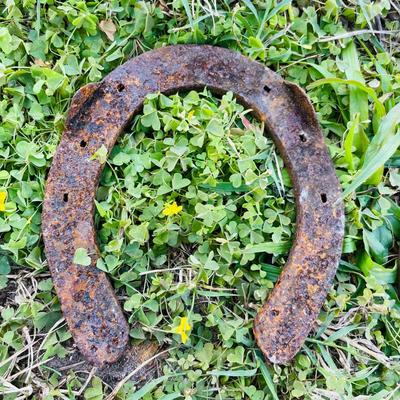 Champs and Royal Horse Shoes (G-NM)