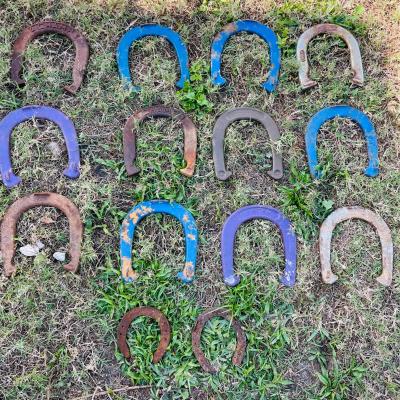 Champs and Royal Horse Shoes (G-NM)