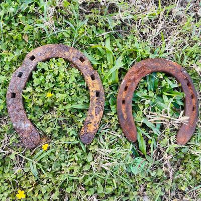 Champs and Royal Horse Shoes (G-NM)