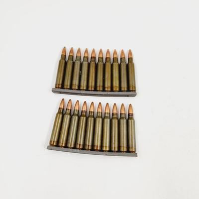 20 PC .223 REM AMMO