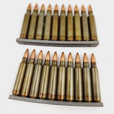 20 PC .223 REM AMMO