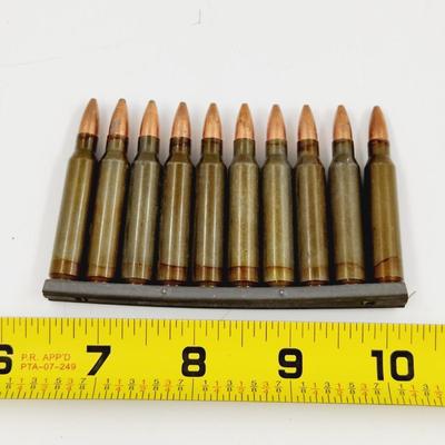 20 PC .223 REM AMMO