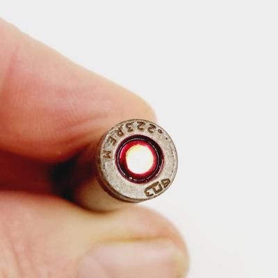20 PC .223 REM AMMO
