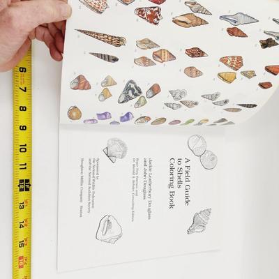 PETERSON FIELD GUIDE COLORING BOOK SHELLS