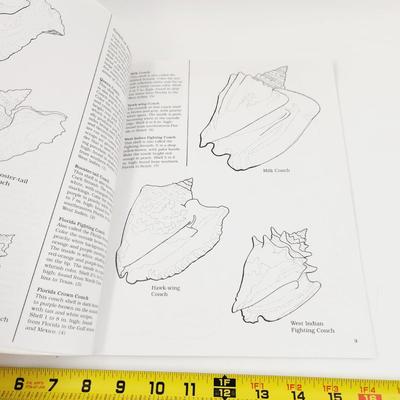 PETERSON FIELD GUIDE COLORING BOOK SHELLS