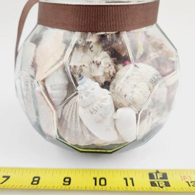 LARGE JAR OF SHELLS & SAND DOLLARS
