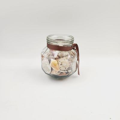 LARGE JAR OF SHELLS & SAND DOLLARS