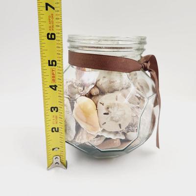 LARGE JAR OF SHELLS & SAND DOLLARS